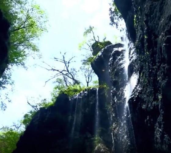 青山綠水，白龍江畔江畔息白鷺，兩岸綠橄欖入眼的都是純樸自然枝上花開(kāi)，春來(lái)水暖魚(yú)蝦戲水，鳥(niǎo)語(yǔ)花香心中充滿著舒暢之感祥宇生態(tài)產(chǎn)業(yè)園，位于隴南市武..